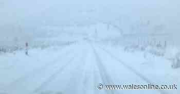 Heavy snow sees drivers stranded and warnings of wintry showers across a wider area