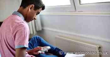 Should people be given the right to ignore work emails after hours?