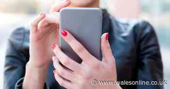 Channel 4 bosses looking for families "addicted to online shopping"