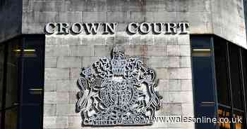 Dog owner pleads with judge to be allowed to keep pet after it savaged another dog