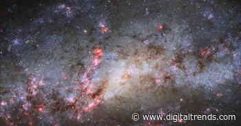 Amateur astronomer identifies rare double nucleus in the Cocoon Galaxy