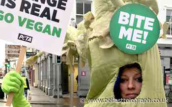 Politician sorry for ‘to hell with the planet’ remark after celery stick protest