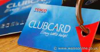 Martin Lewis shares Tesco Clubcard vouchers trick for extending their life