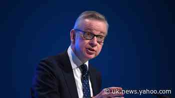 Import controls will begin as soon Brexit transition ends, says Gove