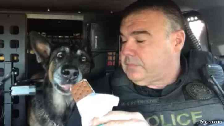 OVPD K9 enjoying retirement after video of sendoff goes viral
