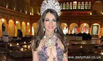 Elizabeth Hurley, 54, leaves little to the imagination in a VERY busty sheer gown