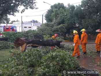 Coronel Moldes se recupera tras el temporal - La Voz del Interior