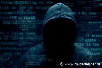 Experts slaan alarm: ‘Iemand op internet oplichten is een makkelijke manier om geld te scoren’