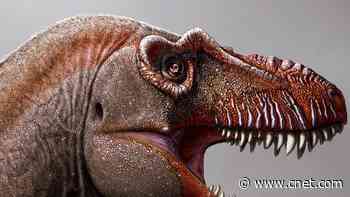 'Reaper of death' tyrannosaur was a massive meat-munching monster     - CNET