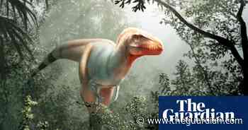 'Reaper of death': scientists discover new dinosaur species related to T rex