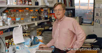 Bruce McEwen, 81, Is Dead; Found Stress Can Alter the Brain