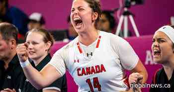 Wheelchair basketball’s attendance at 2020 Paralympics Games in Tokyo uncertain
