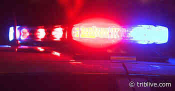 Arnold boy's November shooting death was accident, medical examiner rules - TribLIVE