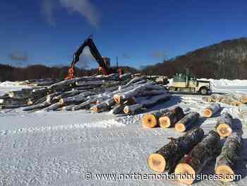 Timber company expanding in Sault Ste. Marie - Northern Ontario Business