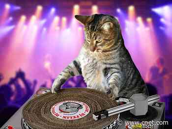 Prime Day 2020 preview: The 50 weirdest deals we've ever seen     - CNET