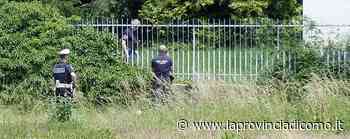 Erba e i furti in aumento del 70% «Rubano per comprare la droga» - La Provincia di Como