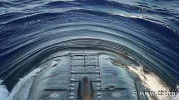 Canada's submarine fleet spent 'zero days' at sea last year: government documents