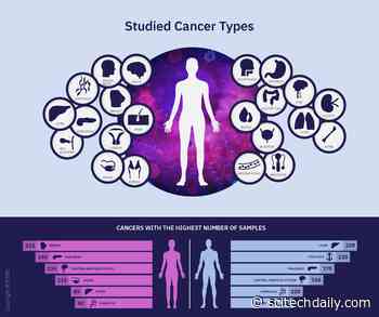 Massive Genetic Map of Cancer Mutations Cataloged – Available to Doctors and Researchers Worldwide