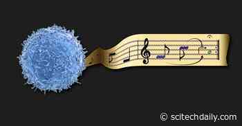 New Platform for Composing Genetic Programs Could Enable New Therapies for Difficult-to-Treat Diseases