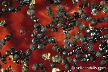 Ancient Meteorites Show Early Earth’s Atmosphere May Have Had 1,000x More Carbon Dioxide Than Now