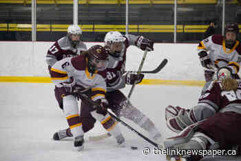 Ottawa 3, Concordia 1: Ottawa Stuns First Place Stingers Women's Hockey At Home | Sports - The Link
