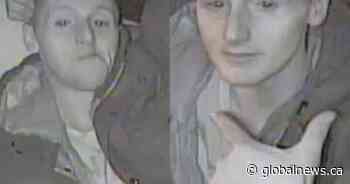 Ottawa police seek help IDing alleged perfume robber who targeted Glebe store - Global News