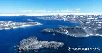 The Big (Yet Hidden) Consequences of Antarctica's Record Heat