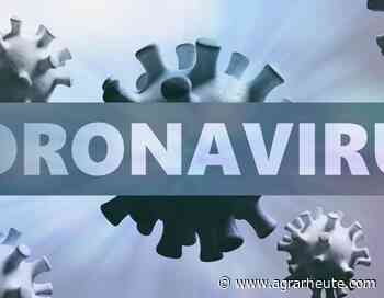 Corona-Virus: Chinas Wirtschaft ist wie gelähmt - agrarheute.com