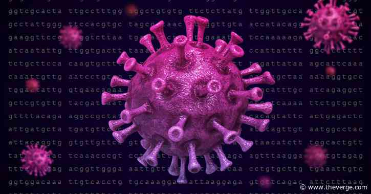 To fight the coronavirus, labs are printing its genome