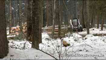 Crews create new fire break at Prince Albert National Park