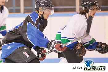 Sault College Cougar Weekly Update