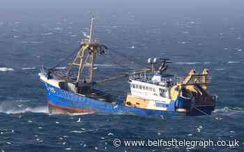 Fishermen fear they will not survive to see ‘Brexit bonus’ due to catch app