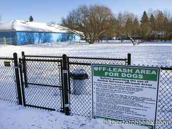 Council committee endorses proposal to limit number of off-leash dogs