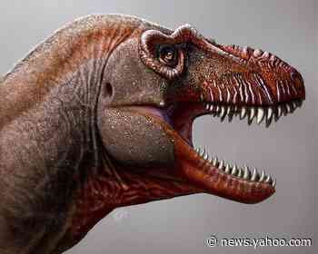 'Reaper of death,' newfound cousin of T. rex, discovered in Canada