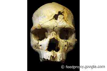 When Did Ancient Humans Begin to Understand Death?