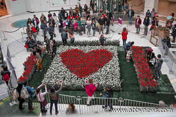 Popular Chilliwack tulip festival brings one-day pop-up event to Metrotown mall