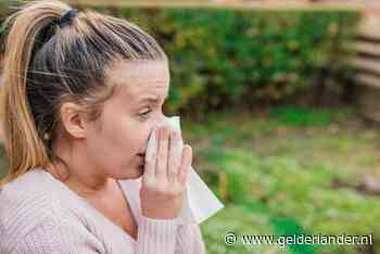 Grote kans op vroege hooikoorts door hoge temperaturen en bloeiende els