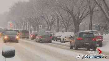Tuesday morning snow causes nearly 70 crashes in Edmonton