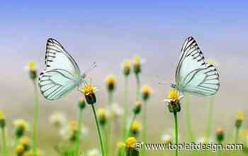 10 of the best ways to improve your website’s conversion rate