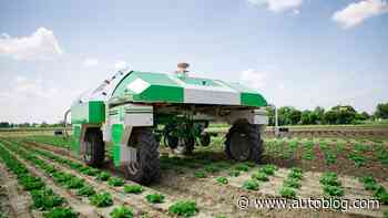 In the near future, robot farm vehicles will pick weeds, too