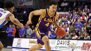 LSU vs. Missouri odds, line: 2020 college basketball picks, Feb. 11 predictions from proven model