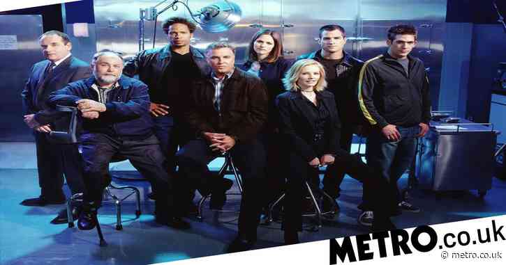 CSI: Crime Scene Investigation: From William Petersen to Jorja Fox – what the cast have been up to since the series finale