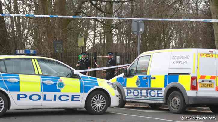 Dog walker killed by falling tree branch as UK braced for second storm - ITV News