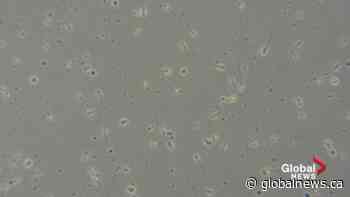 Health regulation makes it easier for those struggling to conceive