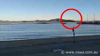 Photo reveals insane zoom on new phone