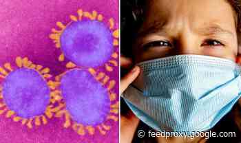 UK Coronavirus school closures: Is YOUR child's school closed over coronavirus fears?