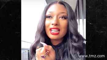 Megan Thee Stallion Sets Record Straight on 2015 Arrest