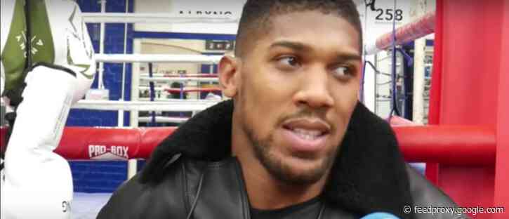Anthony Joshua: ‘Wilder DOESN’T punch hard enough to keep Fury down’