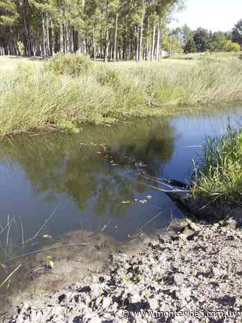 Vecinos de Guichón quedaron disconformes con respuesta por contaminación de arroyo Guayabo - Montevideo Portal