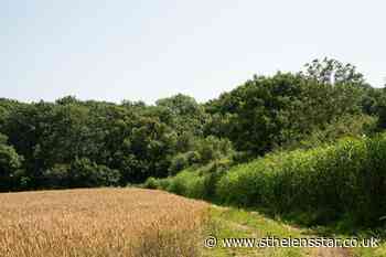HS2 will damage woodlands without helping climate crisis – green groups - St Helens Star